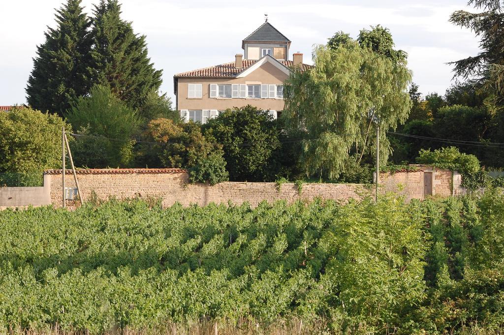 Le Montellier Bed & Breakfast Blacé Dış mekan fotoğraf